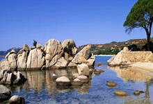 2024男足世界杯积分榜是怎样的？